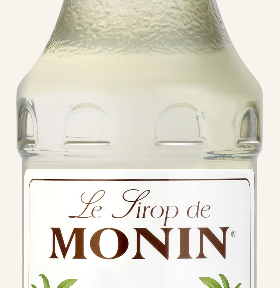 MONIN sirup Zázvor 0,25l — láhev barového sirupu