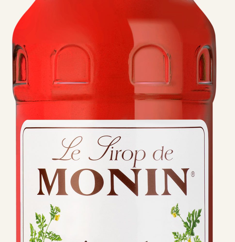 MONIN sirup Meloun vodní 1l — láhev barového sirupu