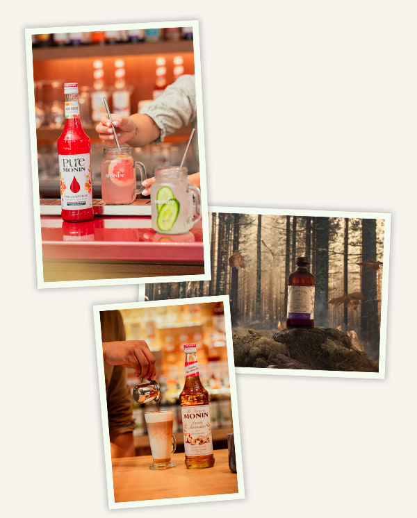 monin produkty